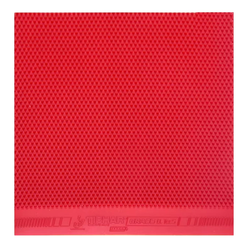 TIBHAR Grass D.TecS Tischtenni – Table Tennis Defense Bewertung und Preis