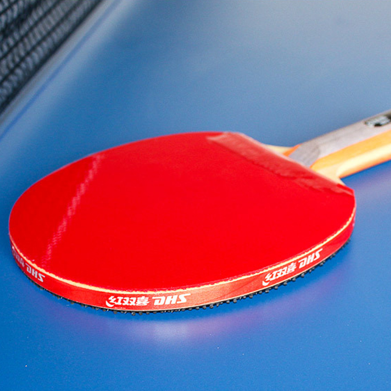 DHS Selbstklebendes Tischtenni – Table Tennis Defense Bewertung und Preis