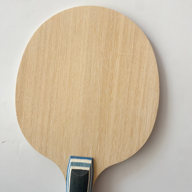 Lemuria VIS Carbonfaser Tischt – Table Tennis Forehand Bewertung und Preis