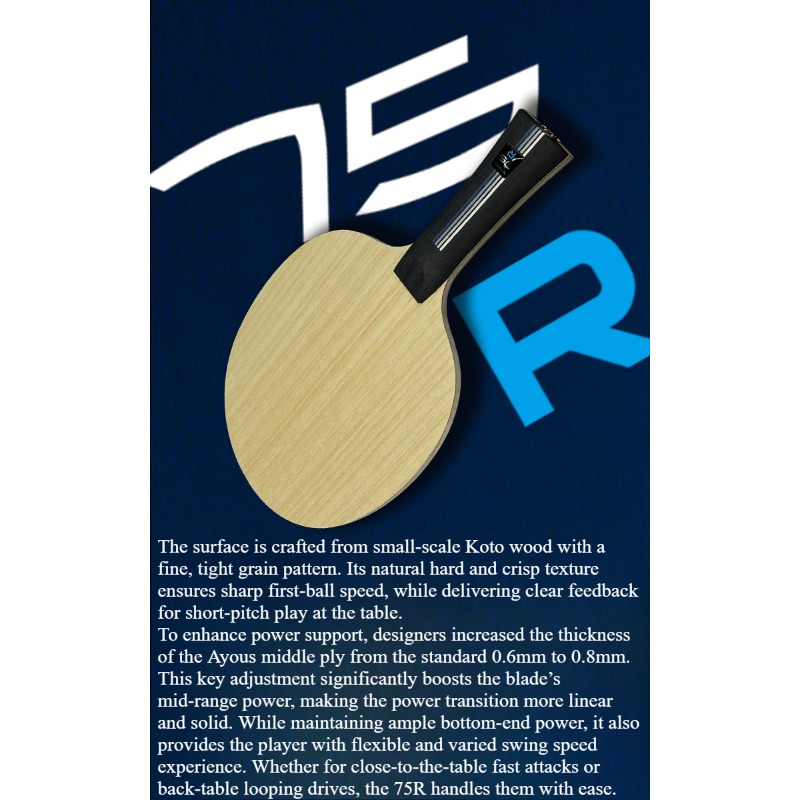 SANWEI 75R 5+2 Outer H-GLC Tis – Table Tennis Blades Bewertung und Preis