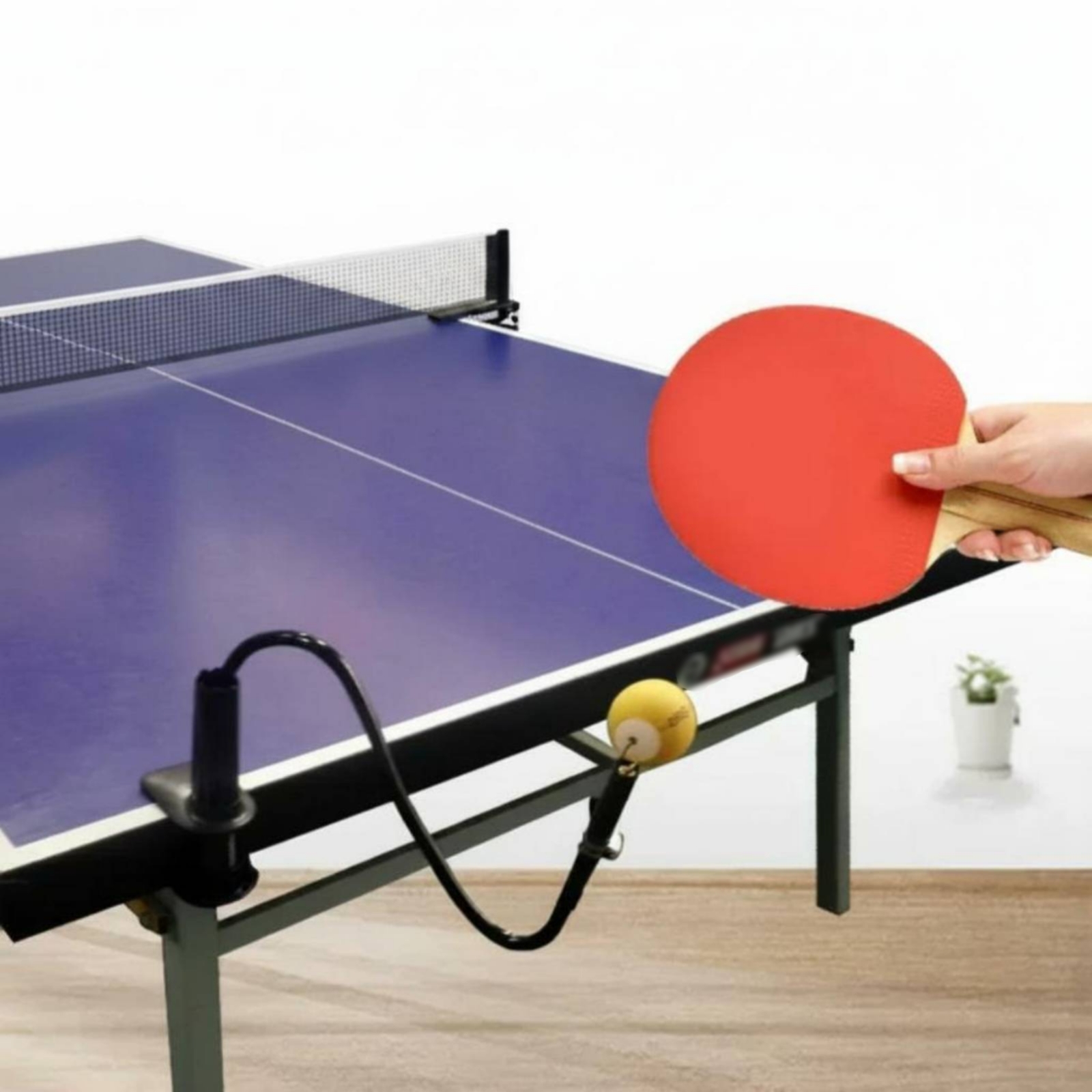 Tischtennis-Trainingsgerät für – Table Tennis Youtube Bewertung und Preis